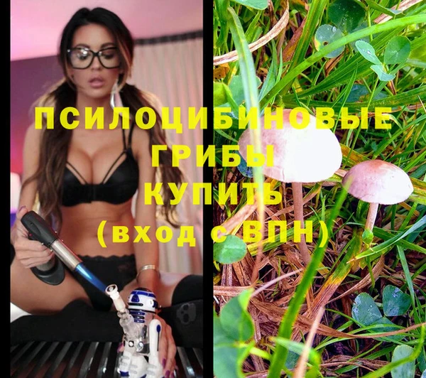 MDMA Premium VHQ Михайловск