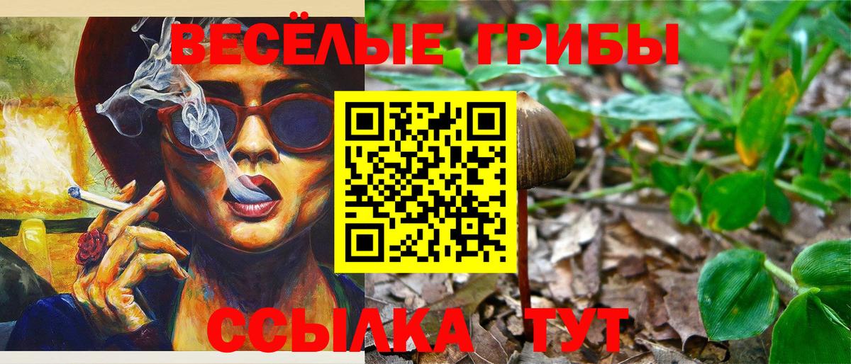 Галлюциногенные грибы Magic Shrooms  наркота  Салават  Вход с VPN 